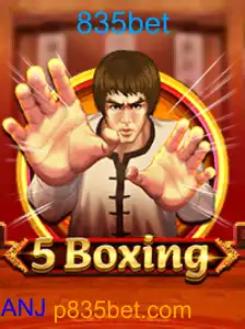 5Boxing